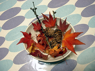 20061112-08.jpg